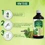 Dabur Giloy Neem Tulsi Juice: Benefit of 3-in-1 Immunity Boosters with the power of Giloy Neem and Tulsi|Pure Natural and 100% Ayurvedic Juice -1L, 6 image