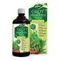 Dabur Giloy Neem Juice with Tulsi -1 L & Dabur Amla Ayurvedic Juice: 100% Ayurvedic Health Juice - 1L, 2 image