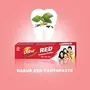 Dabur Red Ayurvedic Paste Provides Protection From Plaque Toothache Yellow Teeth And Bad Breath - 300 Gm, 3 image