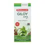 Baidyanath Jhansi Boost Immunity Natural Giloy Juice 500 Ml, 2 image