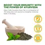 Dabur Vedic Suraksha Green Tea - 100 Tea Bags : Immunity Booster with The Goodness of 5 Ayurvedic Herbs, 5 image
