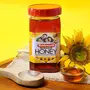 Baidyanath Jhansi Honey - 250 Gm, 2 image