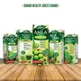 Dabur Giloy Juice Immunity Booster With Natural Source Of Antioxidants - 1 L, 6 image