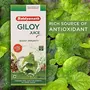 Baidyanath Jhansi Boost Immunity Natural Giloy Juice 500 Ml, 6 image