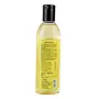Jiva Amla Oil - 120 ml - Pack of 3 - For All Hair Types Amla Hair Oil for Hair Growth, 3 image