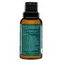 Jiva Kumkumadi Oil - 30 ml - Pack of 1 - Pure Herbs Used Improves Skin Health Reduces Scars Blemishes & Pigmentation, 4 image