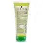 Jiva Aloe Mint Facewash - 100 g - Pack of 1 - For All Skin Types Contains Fresh Aloevera Pulp Mild and Gentle Cleanser, 2 image