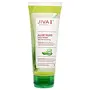 Jiva Aloe Mint Facewash - 100 g - Pack of 1 - For All Skin Types Contains Fresh Aloevera Pulp Mild and Gentle Cleanser