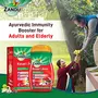 Zandu Kesari Jivan â Ayurvedic Immunity Booster for Adults and Elders Builds Energy Strength & Stamina Strengthens Bones Enriched Revitalizer 900g, 4 image