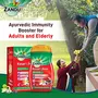 ZANDU KESARI JIVAN Kesari Jivan Ayurvedic Immunity Booster for Adults Red 450 g, 4 image