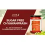 Jiva Sugar Free Chyawanprash - 1 kg - Pack of 1 - Rich in Vitamin-C No Added Sugar Natural Rejuvenator & Immunity Booster, 2 image