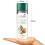 Biotique Walnut Volume & Bounce Shampoo & Conditioner For Fine & Thinning Hair 190ml, 5 image