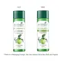 Biotique Green Apple Shine & Gloss Shampoo & Conditioner For Glossy Healthy Hair 120 ml, 3 image