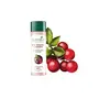 Biotique Winter Cherry Rejuvenating Body Lotion For All Skin Types 190ml, 3 image