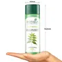 Biotique Bio Neem Margosa Anti Dandruff Shampoo and Conditioner 190ml, 5 image