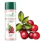 Biotique Winter Cherry Rejuvenating Body Lotion For All Skin Types 190ml, 5 image