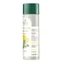 Biotique Bio Dandelion Visibly Ageless Serum 190ml And Biotique Morning Nectar Flawless Skin Lotion for All Skin Types 190ml, 4 image