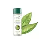 Biotique Bio Dandelion Visibly Ageless Serum 40 ml And Biotique Bio Morning Nectar Sunscreen Ultra Soothing Face Lotion SPF 30+ 120ml, 7 image