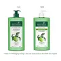 Biotique Green Apple Shine & Gloss Shampoo & Conditioner For Glossy Healthy Hair 650ml, 4 image