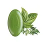 Biotique Basil and Parsley Soap 75g, 3 image