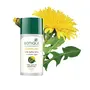 Biotique Bio Dandelion Visibly Ageless Serum 40 ml And Biotique Bio Almond Soothing And Nourishing Eye Cream 15g, 4 image