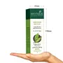 Biotique Morning Nectar Flawless Skin Lotion for All Skin Types 190ml And Biotique Bio Almond Soothing And Nourishing Eye Cream 15g, 5 image