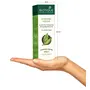 Biotique Bio Dandelion Visibly Ageless Serum 40 ml And Biotique Bio Morning Nectar Sunscreen Ultra Soothing Face Lotion SPF 30+ 120ml, 6 image