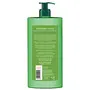 Biotique Green Apple Shine & Gloss Shampoo & Conditioner For Glossy Healthy Hair 650ml, 3 image