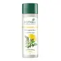 Biotique Bio Dandelion Visibly Ageless Serum 190ml And Biotique Morning Nectar Flawless Skin Lotion for All Skin Types 190ml, 2 image