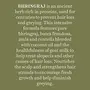 Biotique Bio Bhringraj Therapeutic Hair Oil for Falling Hair Intensive Hair Regrowth Treatment 200ml, 5 image