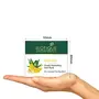 Biotique Banana Deeply Nourishing Hair Mask for Normal to Dry Hair 175g, 4 image