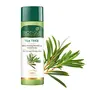 Biotique Tea Tree Skin Clearing Mattifying Facial Toner for Normal to Oily Skin Face Toner 120ml | Treats Acne & Pimples Tightens Pores, 2 image