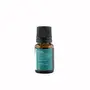 Holy Basil Essential Oil - 10 Ml, 4 image