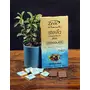 Milk Couverture Chocolate With Stevia - Macadamia & Hazelnut 90Gm (3.17 Oz) -18 Pieces - Pack Of 2 By Zevic, 4 image