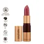 SoulTree Ayurvedic Lipstick - Colour Iced Plum 520 4gm, 4 image