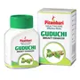Pitambari Guduchi Herbal Tablets - Immune System Booster with Giloy Stem Extract - 60 Tablets, 2 image