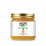 Natureland Organics Apple Jam Mango Jam Mix Fruit Jam Pine Apple Jam( Each 250gm), 3 image