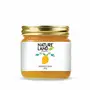 Natureland Organics Mango Jam Mix Fruit Jam Pine Apple Jam( Each 250gm), 2 image
