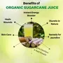 Dhampure Speciality Organic Sugarcane Juice Ganne Ka Ras (Concentrated) 735 ml, 2 image