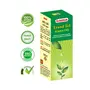 Lama Erand Oil (Castor Oil) - 100 ml - Regulates Easy Bowel Movement (Pack of 3), 4 image