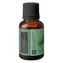 Heilen Biopharm Essential Oil (Thyme (Thymus vulgaris) 15 ml), 5 image