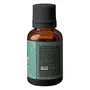 Heilen Biopharm Peppermint Food Grade (Edible) Essential Oils 15 ml, 5 image