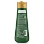 Kesh King Scalp And Hair Medicine Anti Hairfall Shampoo 200ml, 3 image