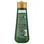 Kesh King Ayurvedic Anti Hairfall Hair oil 300ml with Kesh King Anti Hair fall Shampoo 340 ML and Kesh King Hair Conditioner 200 ML, 3 image