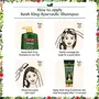 Emami Kesh King Scalp and Hair Medicine Ayurvedic Hairfall Expert Anti-Hairfall Shampoo, 5 image