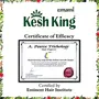 Kesh King Scalp And Hair Medicine Anti Hairfall Shampoo 200ml, 7 image