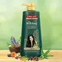 Kesh King Ayurvedic Anti Hairfall Hair oil 300ml with Kesh King Anti Hair fall Shampoo 600 ML with Kesh King Hair Conditioner 200 ML, 3 image