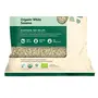 Organic Tattva 'White Sesame' Quality Til Naturally Processed Tal from Farm Picked Fresh Seeds (100 G Pouch), 2 image