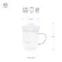 Dancing Leaf Gracil Glass Tea Mug with Removable Glass Infuser & Matching Lid | Heat Resistant Borosilicate Glass | Perfect for Brewing Loose Tea | Capacity - 350ml, 5 image