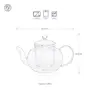Dancing Leaf Clasico Glass Tea Pot with Removable Glass Infuser & Matching Lid | Heat Resistant Borosilicate Glass | Perfect for Brewing Loose Tea | Serves 6 Cups | Capacity - 1100 ml, 5 image